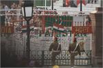 m_wagah border retreat ceremony